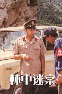 林中迷案,探寻神秘失踪之谜