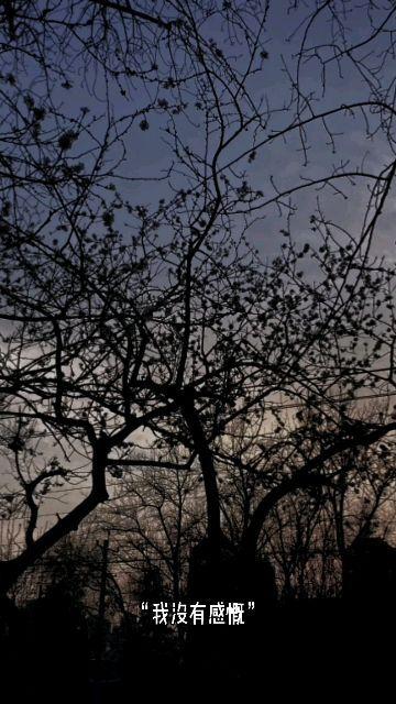 落叶归根,探寻故乡情怀与根植文化传承