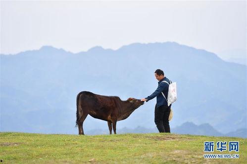 我们村的指导员,共筑美丽乡村——记我们村指导员的工作风采”